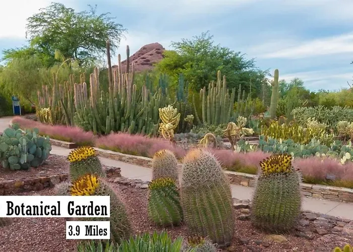 Private Patio & Grill 10 Minutes To Old Town * Scottsdale